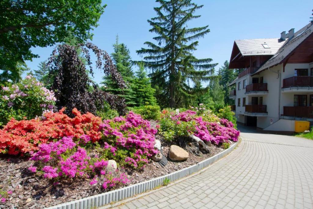 Apartament Polana-Карпач Экстерьер фото